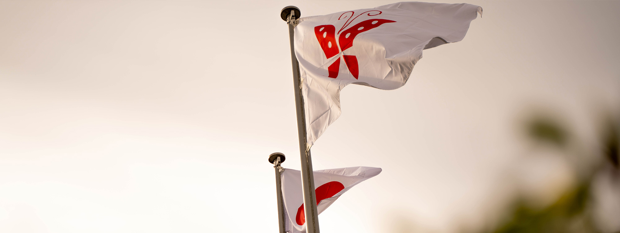 メンバーイメージ